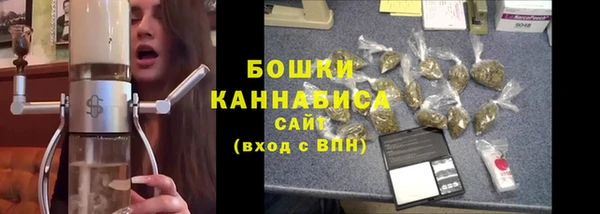 шишки Бородино