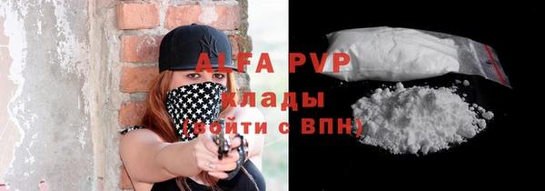 шишки Бородино
