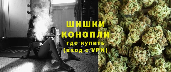 шишки Бородино
