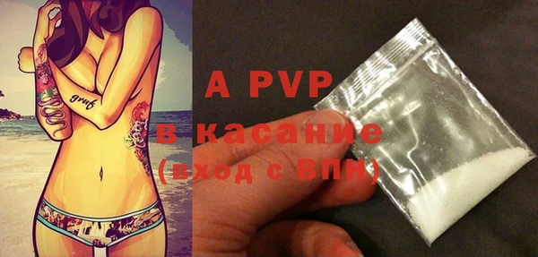 шишки Бородино