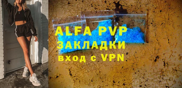 шишки Бородино
