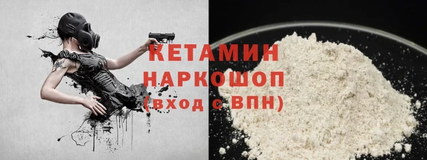 шишки Бородино