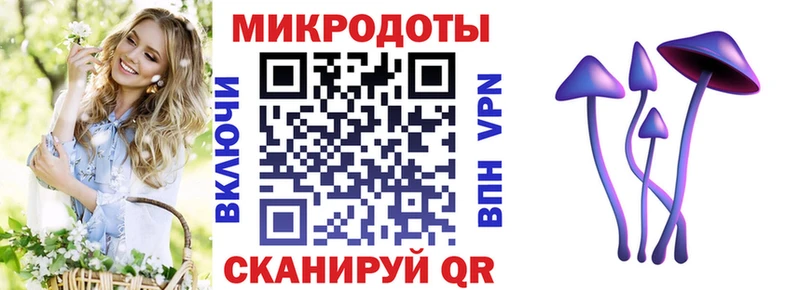 Галлюциногенные грибы Psilocybe  как найти закладки  Нижневартовск 